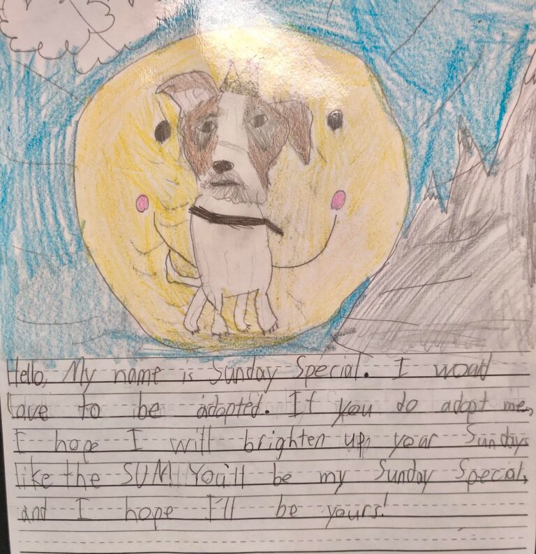 one of the letters written on behalf of shelter pets featuring a bright and cute drawing of a dog