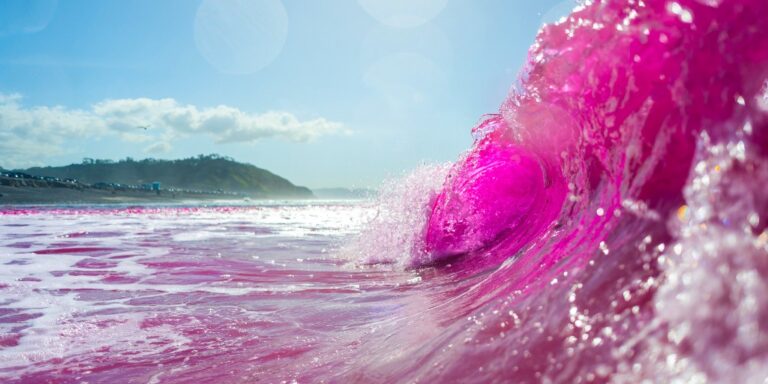 pink waves crashing off coast of San Diego
