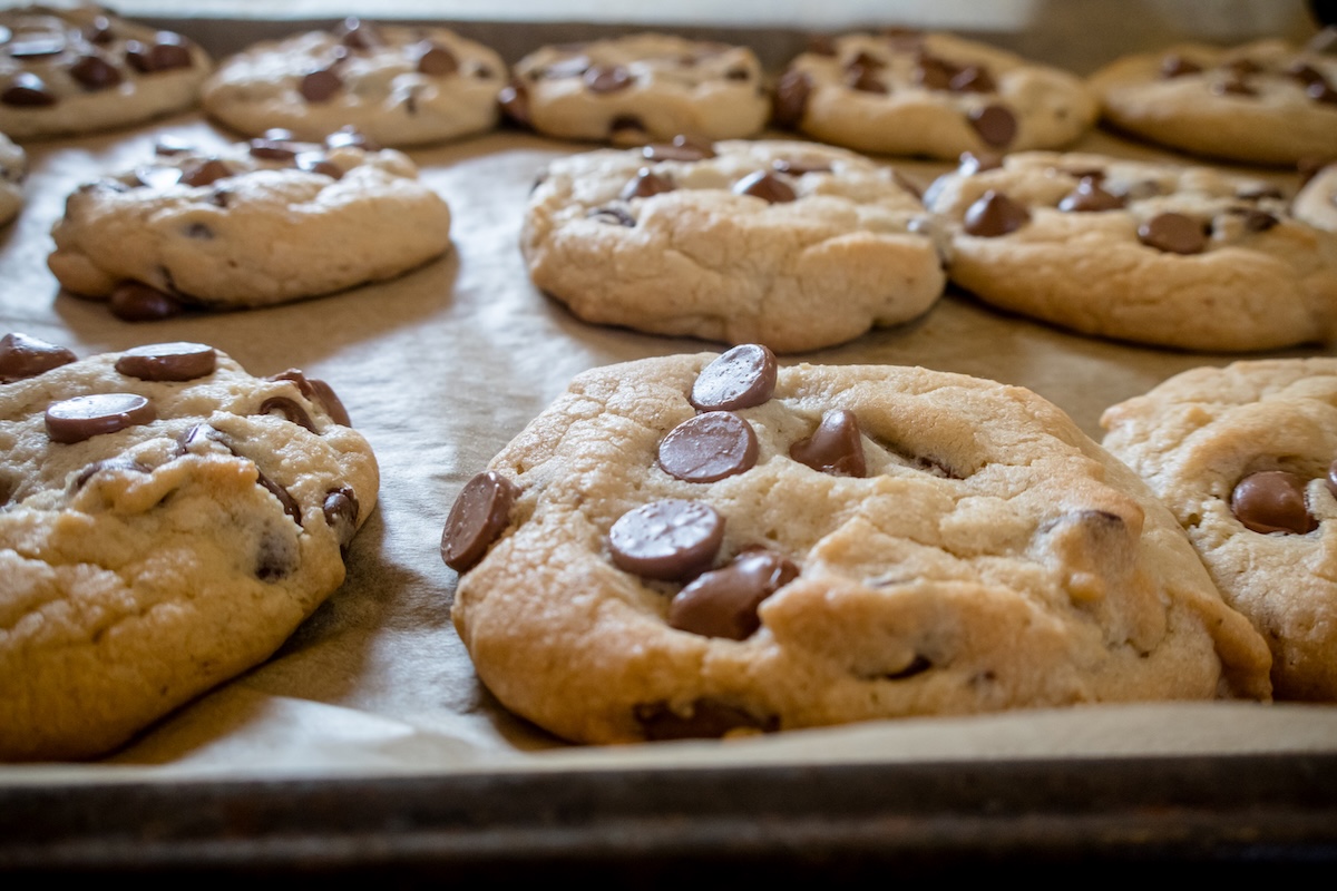 Freshly baked cookies out of the oven