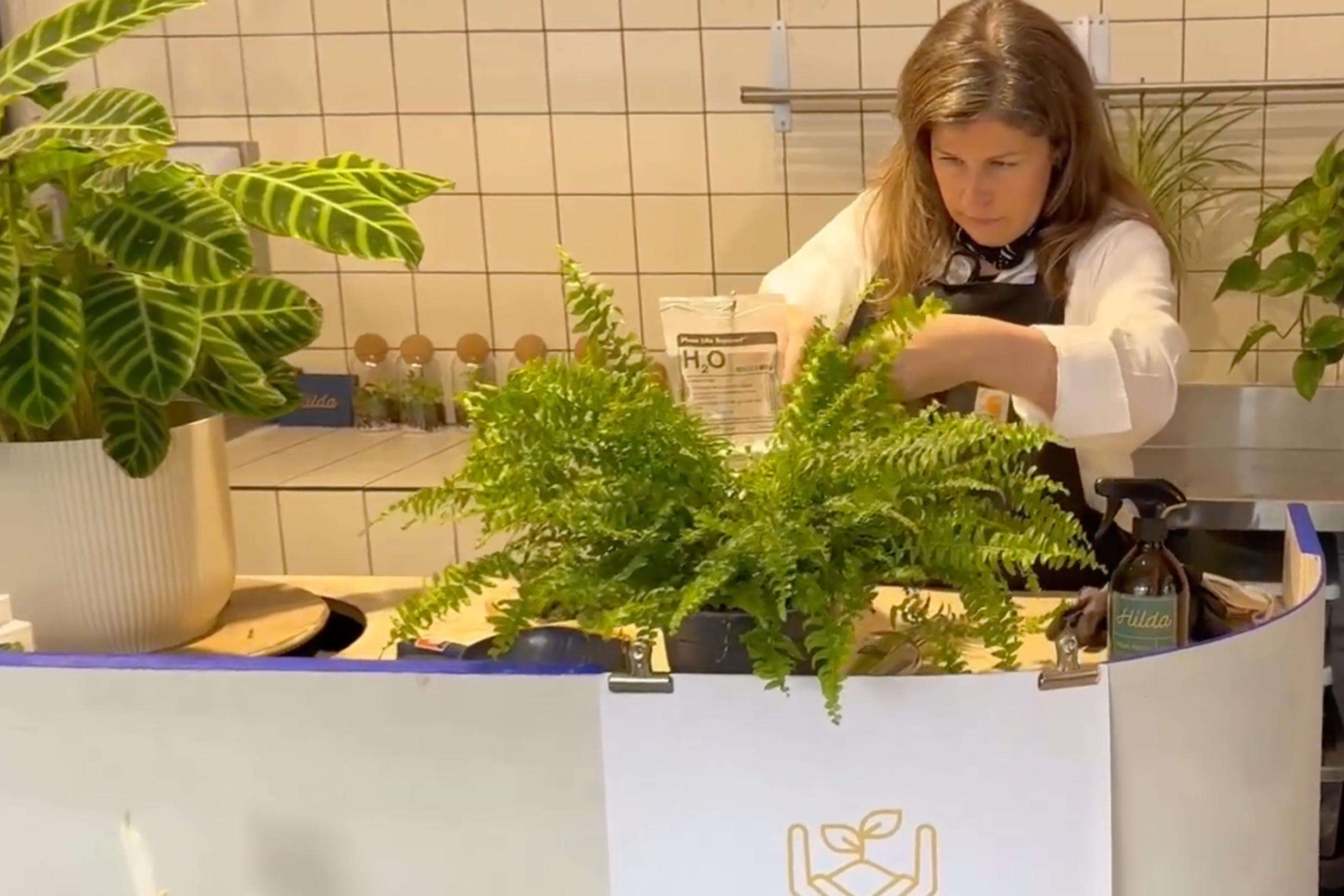nicenews.com - SWNS - The U.K.'s First Houseplant Hospital Heals Patients With TLC